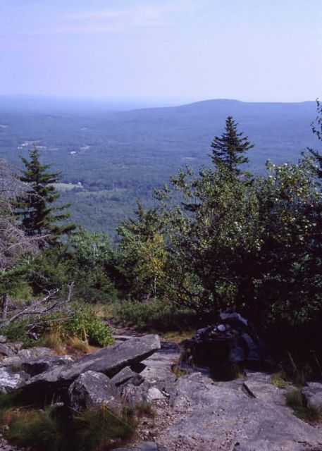 Scenic trail at Wapack National Wildlife Refuge Picture