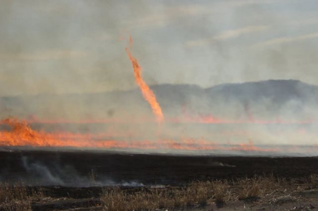 r8-ca-tlr-firewhirl dances across field burn Picture