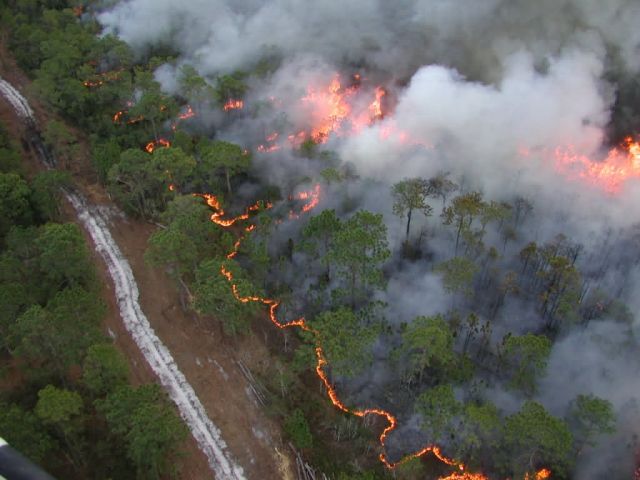 r4-nc-cdr-prescribed fire by aerial ignitions Picture