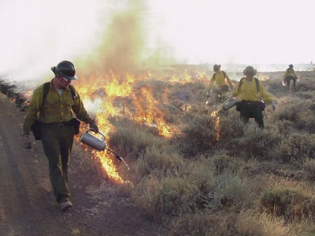 r8-ca-clr-burnout on wildfire Picture