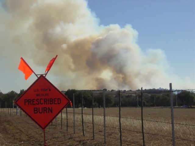 r2-tx-bar-fws smoke ahead sign Picture