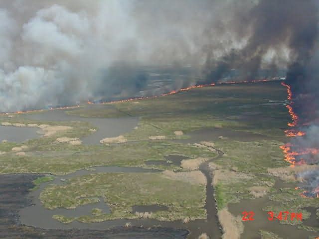 r2-tx-mcr-marsh prescribed burn Picture