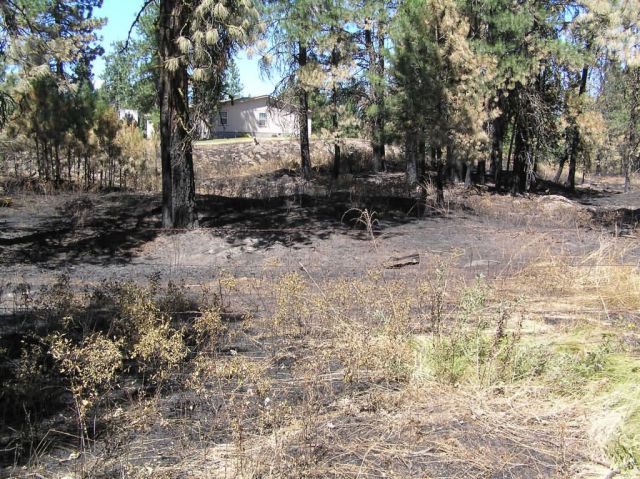 r1-wa-tbr-wui post fire Picture