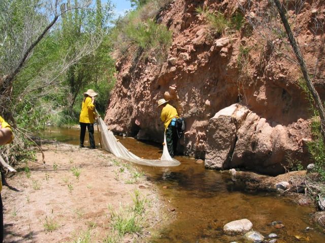 r2-az-tnf-fish rescue during cave creek complex Picture