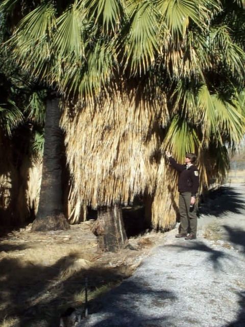 r8-nv-mvr-refuge ologist points out fuels Picture