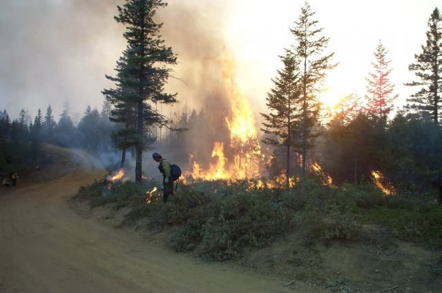 r6-mt-cmr-burnout on wildfire Picture