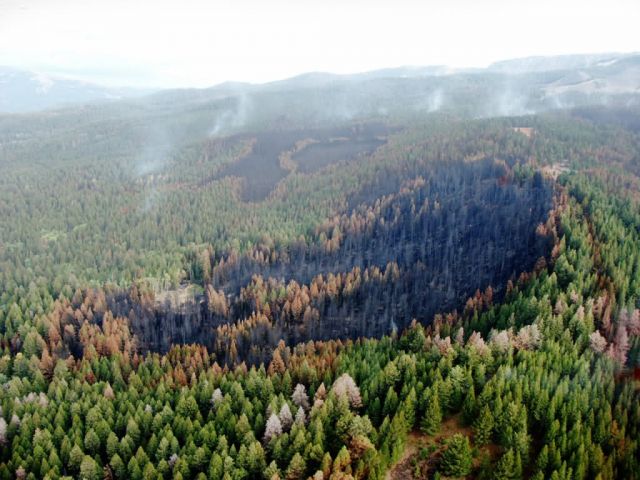 r6-mt-rlr-mosaic burn pattern post wildfire Picture