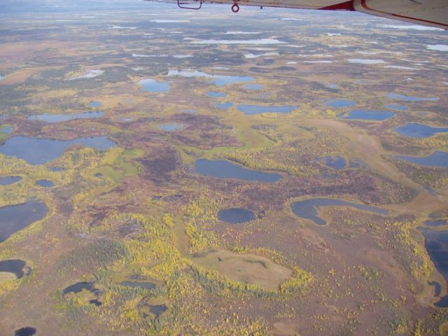 r7-ak-ter-mosaic burn pattern post wildfire Picture
