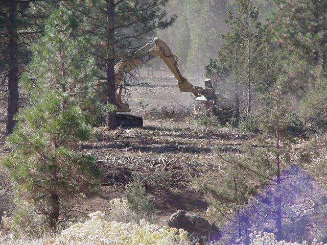 r8-or-bvr-slashbuster thinning for wui Picture