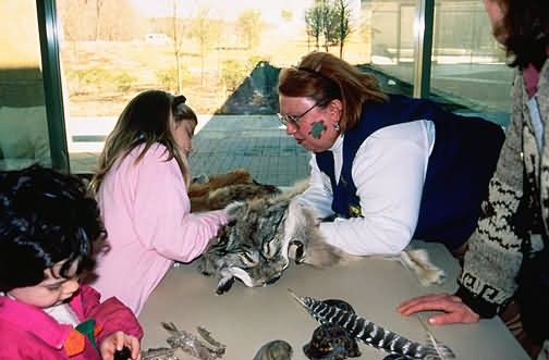 Touch Wildlife at Patuxent Wildlife Visitor Center Picture