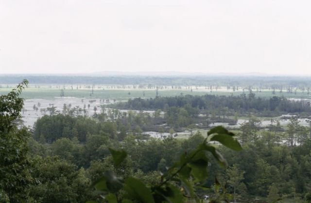 WO8761 Mingo NWR, Missouri Picture