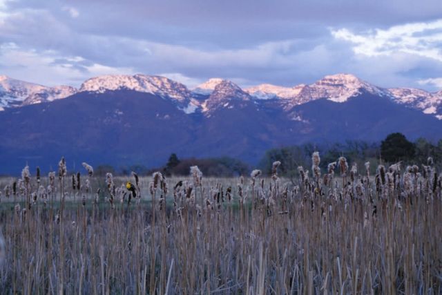 Pablo National Wildlife Refuge Picture
