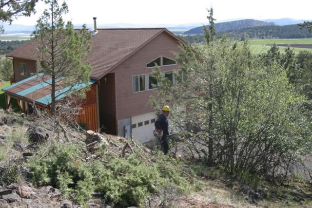 r8-or-bvr-wui fuels reduction Picture