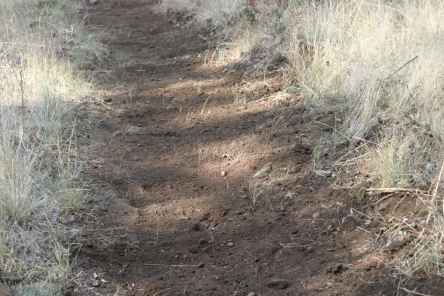 r8-or-bvr-cleared fire line Picture