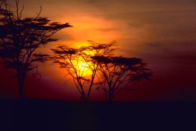 African Sunset Picture