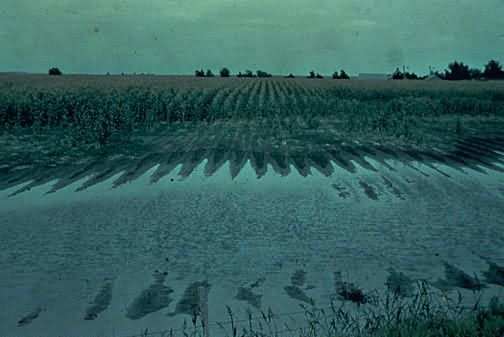 WO3823 Pothole in cornfield proposed to be drained Picture