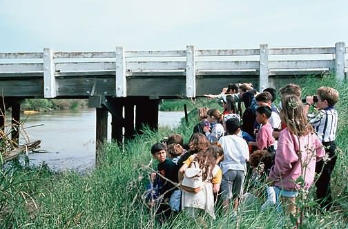 Birdwatching at San Luis National Wildlife Refuge Picture