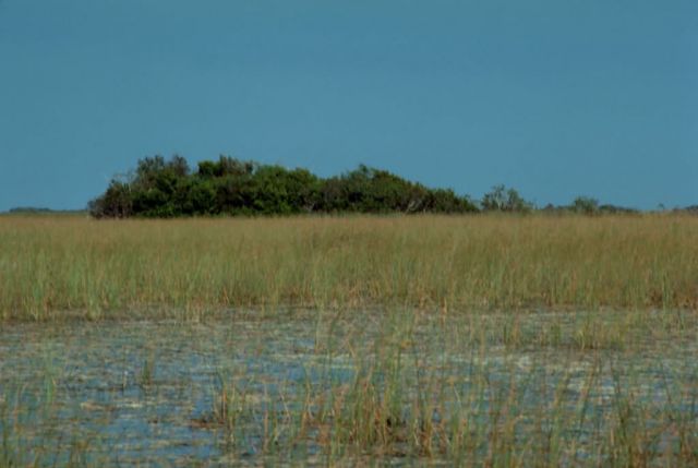 Bayhead in Sawgrass Picture