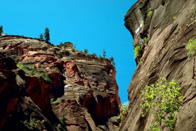 Zion National Park Picture