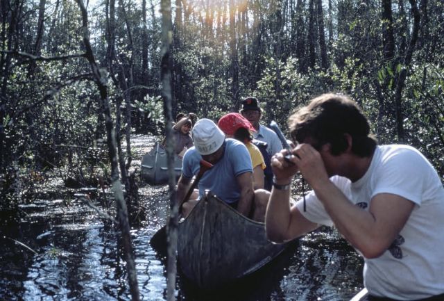WO 2497 Photo Session Okefenokee National Wildlife Refuge Picture