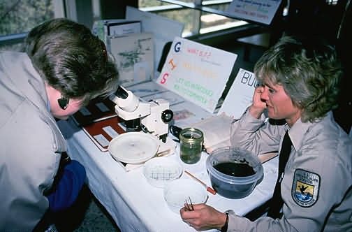 Earth Day (1991) Picture