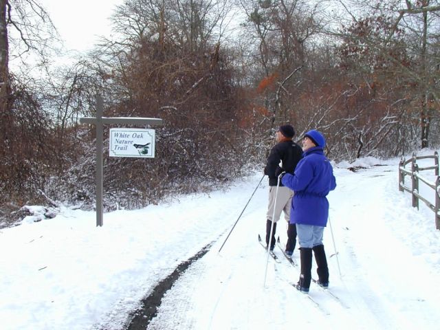 Wertheim National Wildlife Refuge cross country ski Picture