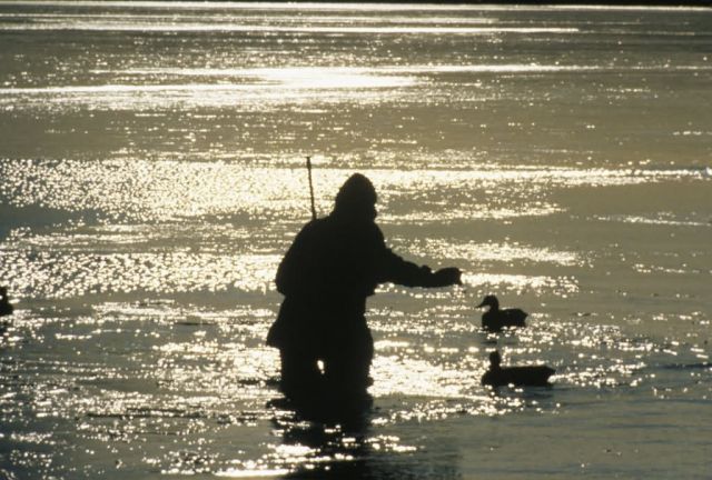 WO 3225 Setting Decoys Picture