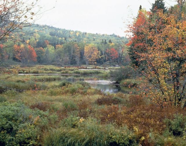 Lake Umbagog National Wildlife Refuge Picture