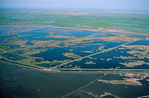 Evaporation Ponds, Kesterson National Wildlife Refuge Picture