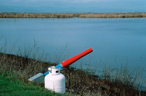 Propane Exploder, Kesterson National Wildlife Refuge Picture