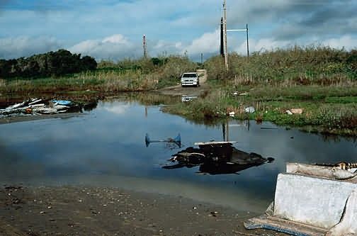 Unauthorized Garbage/Wetland Picture