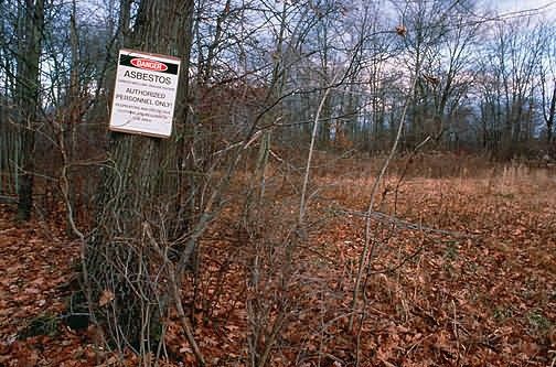 Asbestos Dump Picture