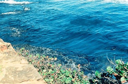 Oil in Waves, San Juan Picture