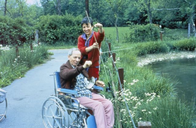 WO 5131 Disabled Visitor Picture