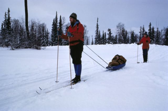 WO 5498 Ski Trails, Kenai NWR Picture