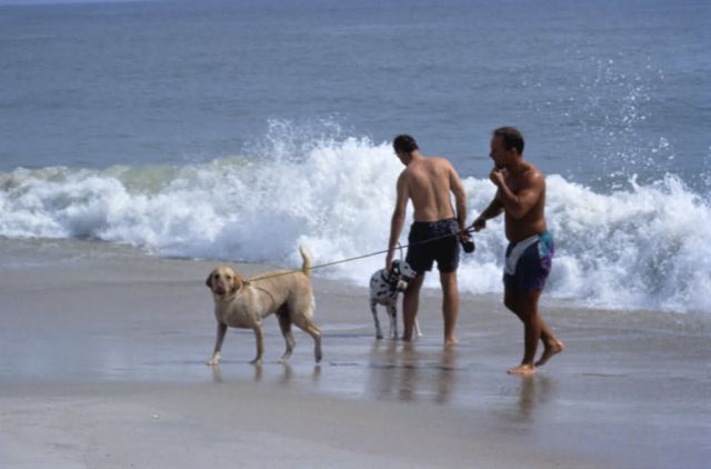 WO 5587 Recreation Assateague Island Picture