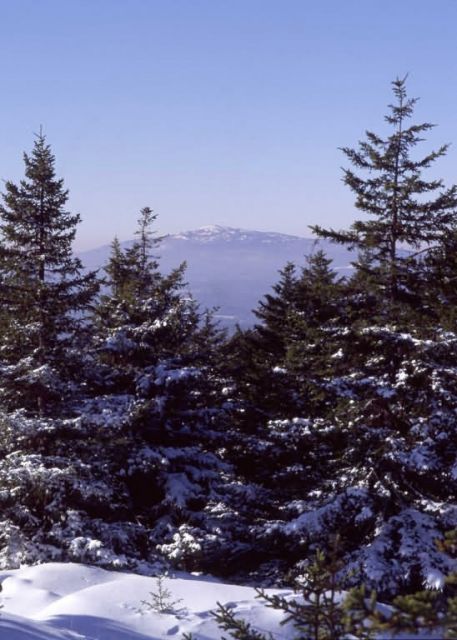 Wapack National Wildlife Refuge, winter scenic Picture