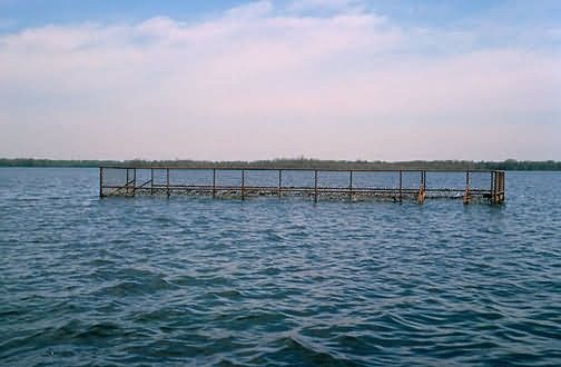 Flood Damage, Observation Deck Picture
