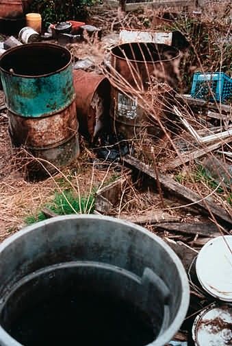 Contaminant Area Cape May National Wildlife Refuge Picture