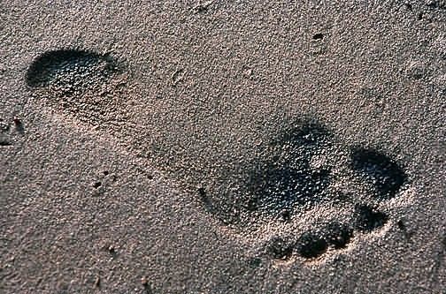 Oiled Foot Print Picture