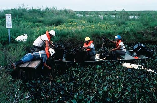 Amoco Oil Spill Picture