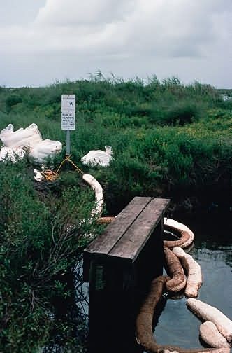 Amoco Oil Spill Picture