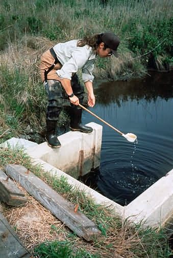 Taking Water Samples Picture