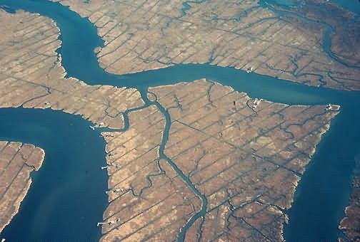 Mosquito Control Picture