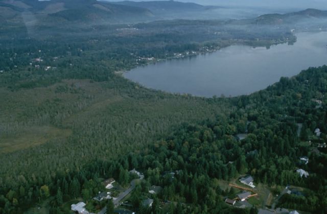 WO8718 South End Black River, Nisqually NWR Picture