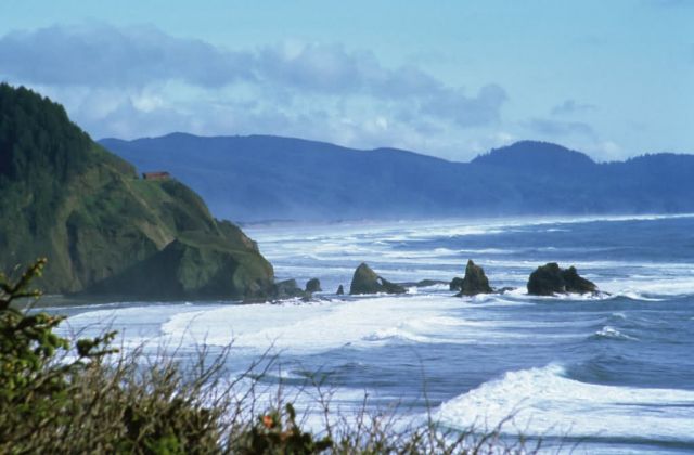 WO4854 Oregon Coast Picture