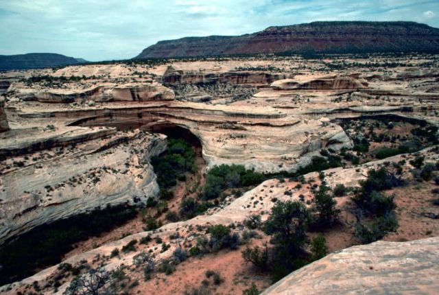 Natural Bridges National park Picture