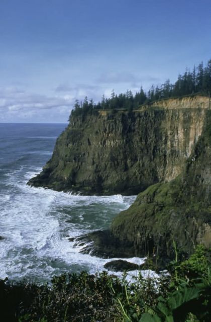 WO4857 Oregon Coast Picture