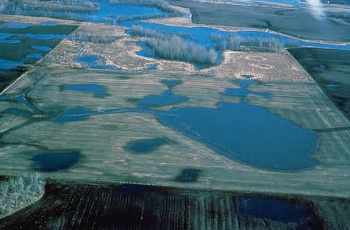 WO4093 Wetland with Prairie Potholes Picture