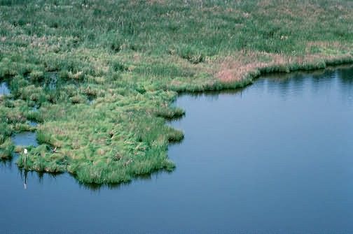 WO4174 Chesapeake Bay, Tidal Area Picture